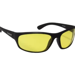 Glasögon Daytona